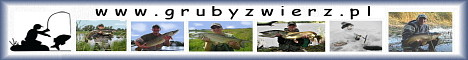 www.grubyzwierz.pl